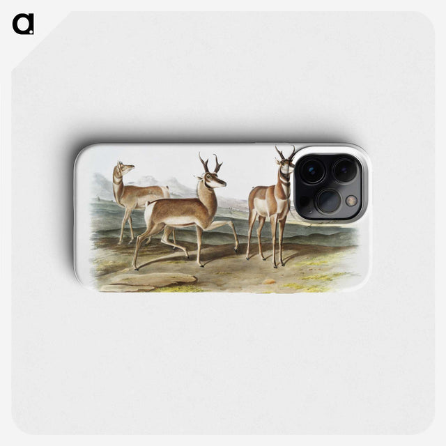 1-49_The-Viviparous-Quadrupeds_phone
