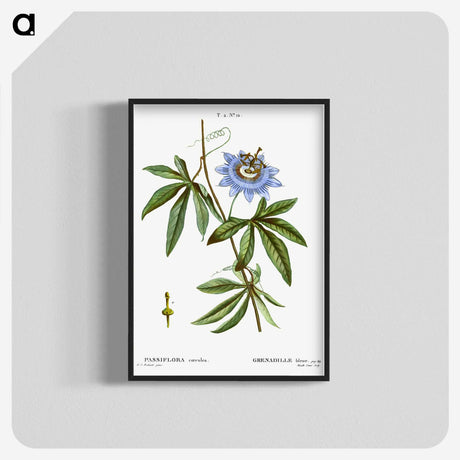 1-49_Treatise-on-Trees-and-Shrubs_blk-crop
