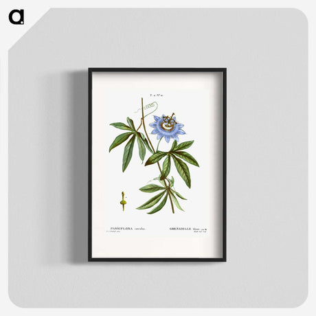 1-49_Treatise-on-Trees-and-Shrubs_blk