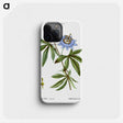 1-49_Treatise-on-Trees-and-Shrubs_phone