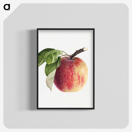 1-49_USDA-Watercolor-Fruit-Painting-Collection_blk-crop