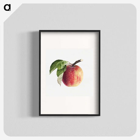 1-49_USDA-Watercolor-Fruit-Painting-Collection_blk