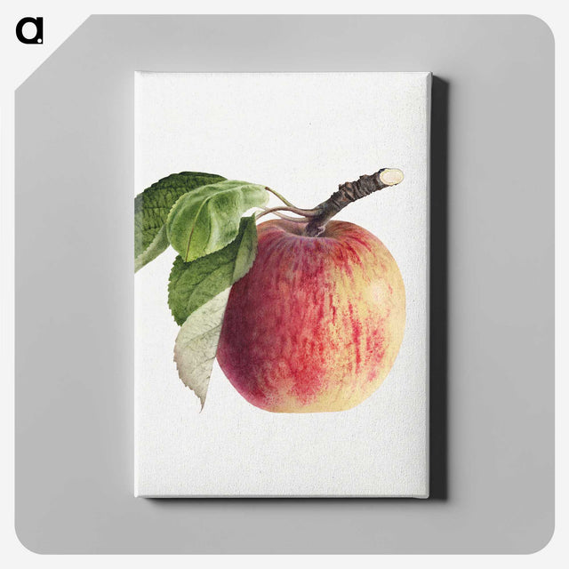 1-49_USDA-Watercolor-Fruit-Painting-Collection_canvas