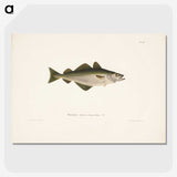 1-49_Wilhelm-von-Wright_picture-crop