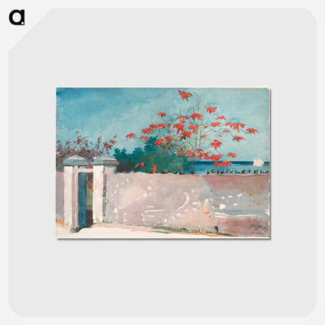 アートポストカード-A Wall, Nassau - ウィンスロー ホーマー Postcard.