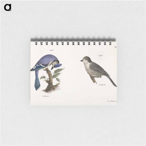 アートメモ帳-The Blue Jay (Garrulus cristatus)  The Canada Jay (Garrulus canadensis) - ニューヨークの動物学 Memo.
