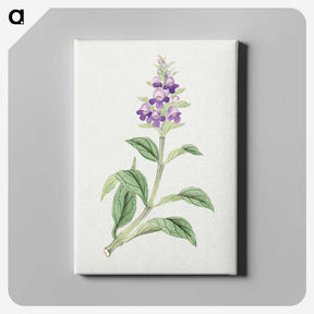 1-4_19th-Century-Japanese-Flowers_canvas