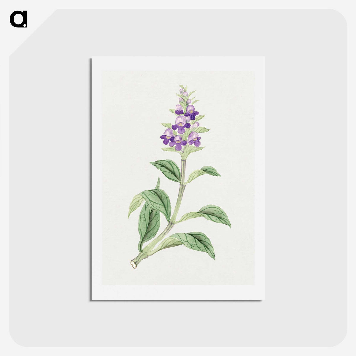 1-4_19th-Century-Japanese-Flowers_hagaki