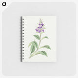 1-4_19th-Century-Japanese-Flowers_memo