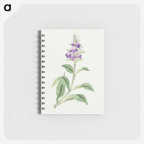1-4_19th-Century-Japanese-Flowers_memo