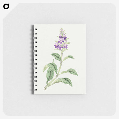 1-4_19th-Century-Japanese-Flowers_memo
