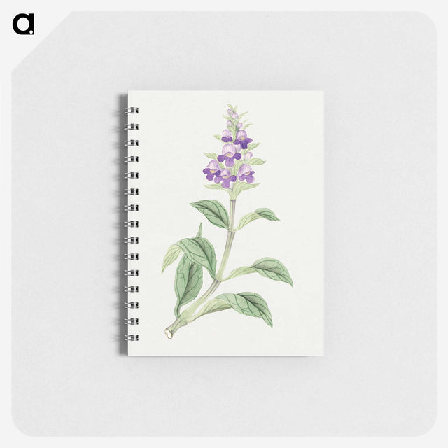 1-4_19th-Century-Japanese-Flowers_memo
