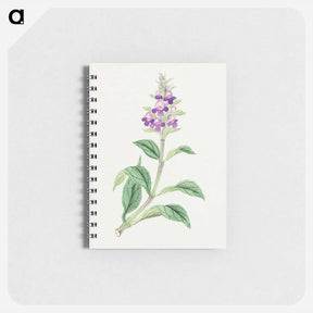 アートメモ帳-Utsugo Gusa - 19世紀の日本の花 Memo.