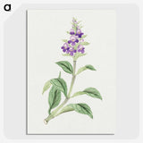 1-4_19th-Century-Japanese-Flowers_picture-crop