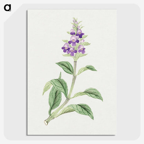 1-4_19th-Century-Japanese-Flowers_picture-crop