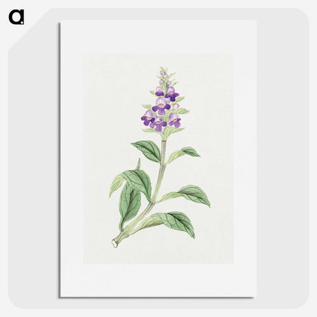 1-4_19th-Century-Japanese-Flowers_picture