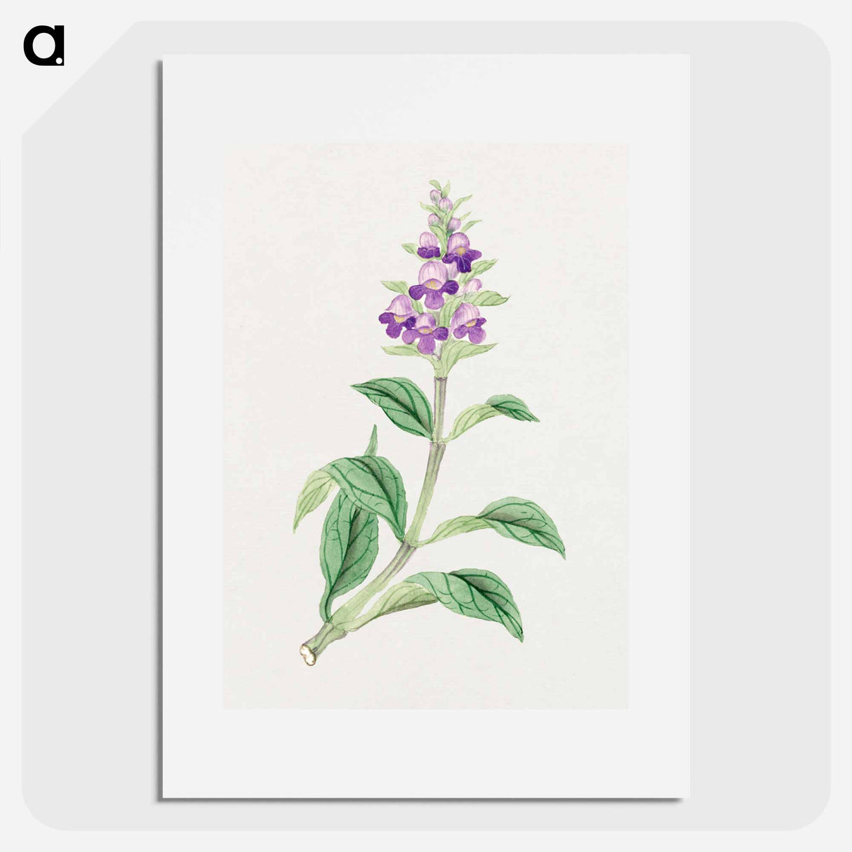 Utsugo Gusa - 19世紀の日本の花 Poster.