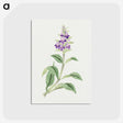 1-4_19th-Century-Japanese-Flowers_postcard
