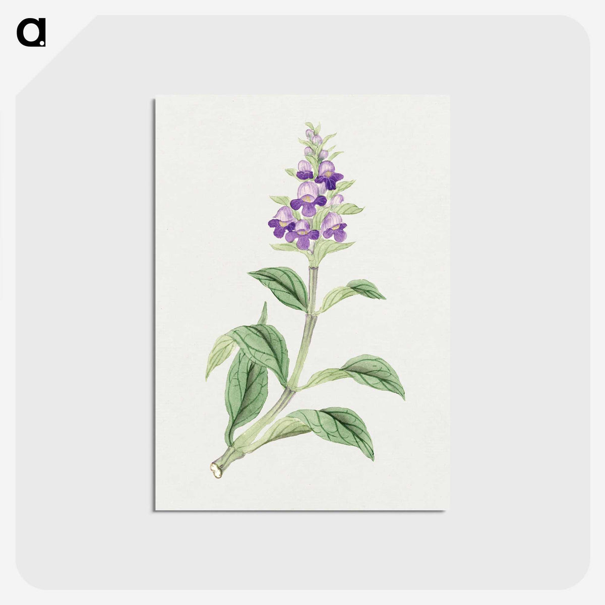1-4_19th-Century-Japanese-Flowers_postcard