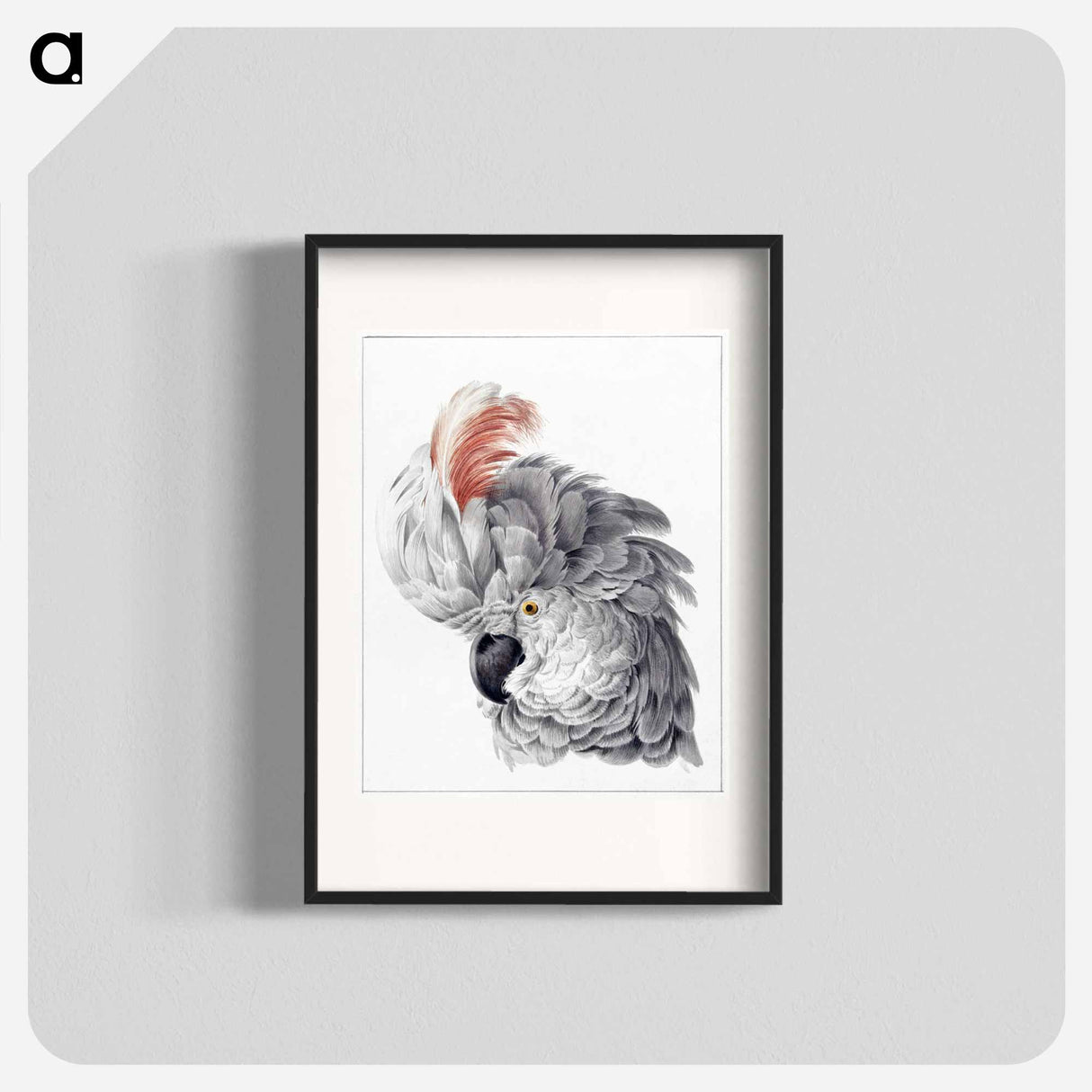 Cockatoo Head - アールト シューマン Poster.