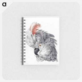 アートメモ帳-Cockatoo Head - アールト シューマン Memo.