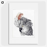 1-4_Aert-Schouman_picture