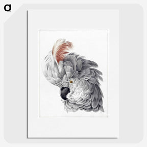 1-4_Aert-Schouman_picture