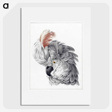 1-4_Aert-Schouman_picture
