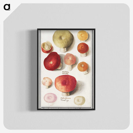 1-4_Anselmus-Boetius-de-Boodt_blk-crop