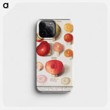 Boleten, Boletales - アンセルムス ボエティウス デ ブート Phone Case.