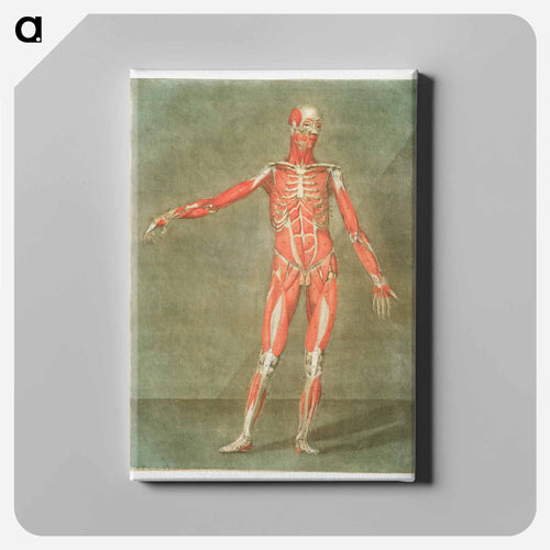 This fascinating collection of anatomical illustrations - アルノルド エロイ ゴーティエ ダゴティ Canvas.