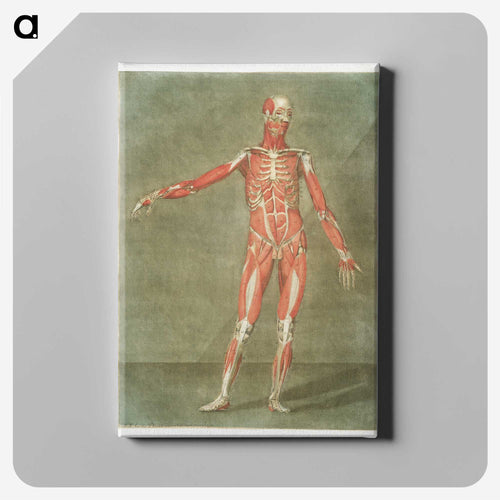 This fascinating collection of anatomical illustrations - アルノルド エロイ ゴーティエ ダゴティ Canvas.