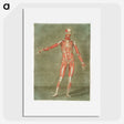 1-4_Arnauld-Eloi-Gautier-Dagoty_picture