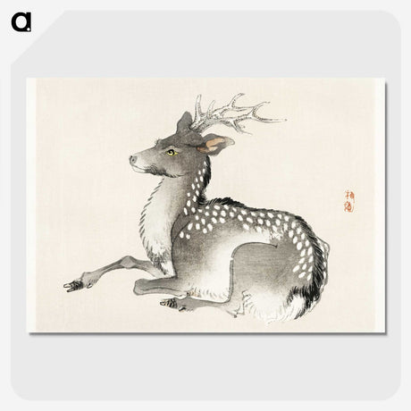 1-4_Bairei-Gakan_picture-crop
