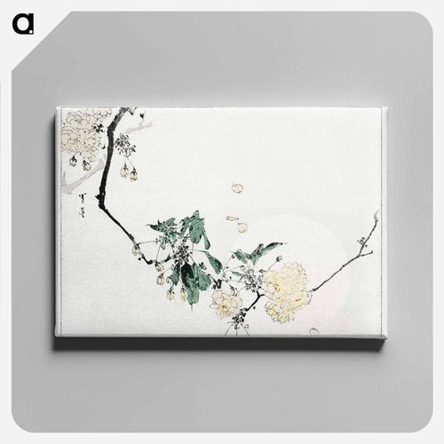 Cherry Blossom, Illustration from Bijutsu Sekai
 - 美術世界 Canvas.