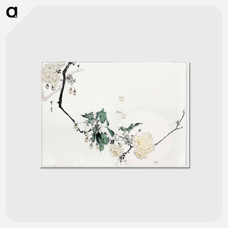 アートポストカード-Cherry Blossom, Illustration from Bijutsu Sekai
 - 美術世界 Postcard.