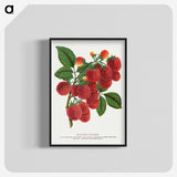 1-4_Botanical-Specimen-Plates_blk-crop