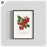1-4_Botanical-Specimen-Plates_blk