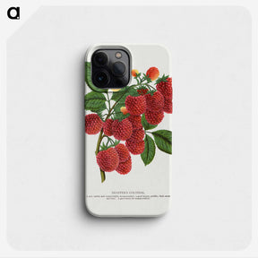 1-4_Botanical-Specimen-Plates_phone
