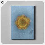 1-4_COVID-19_canvas