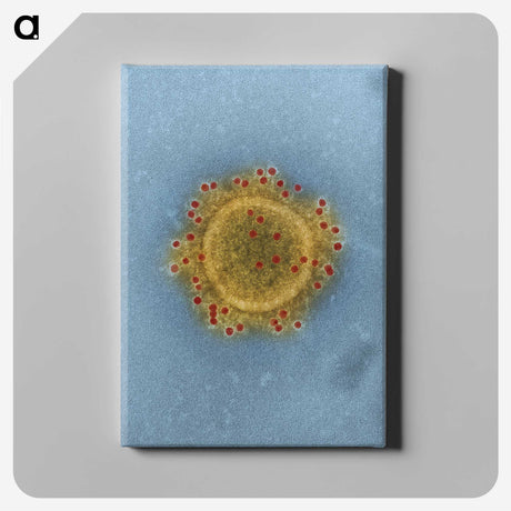 1-4_COVID-19_canvas