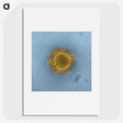 1-4_COVID-19_picture