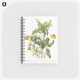 1-4_Canadian-Wild-Flowers_memo