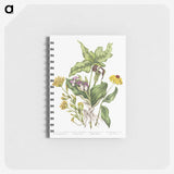 1-4_Canadian-Wild-Flowers_memo