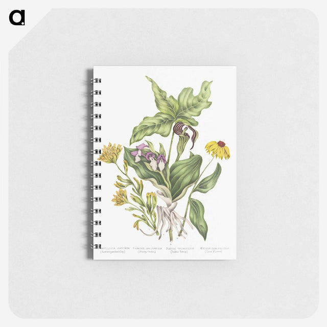 1-4_Canadian-Wild-Flowers_memo