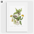 1-4_Canadian-Wild-Flowers_picture