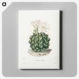 1-4_Charles-Antoine-Lemaire_canvas