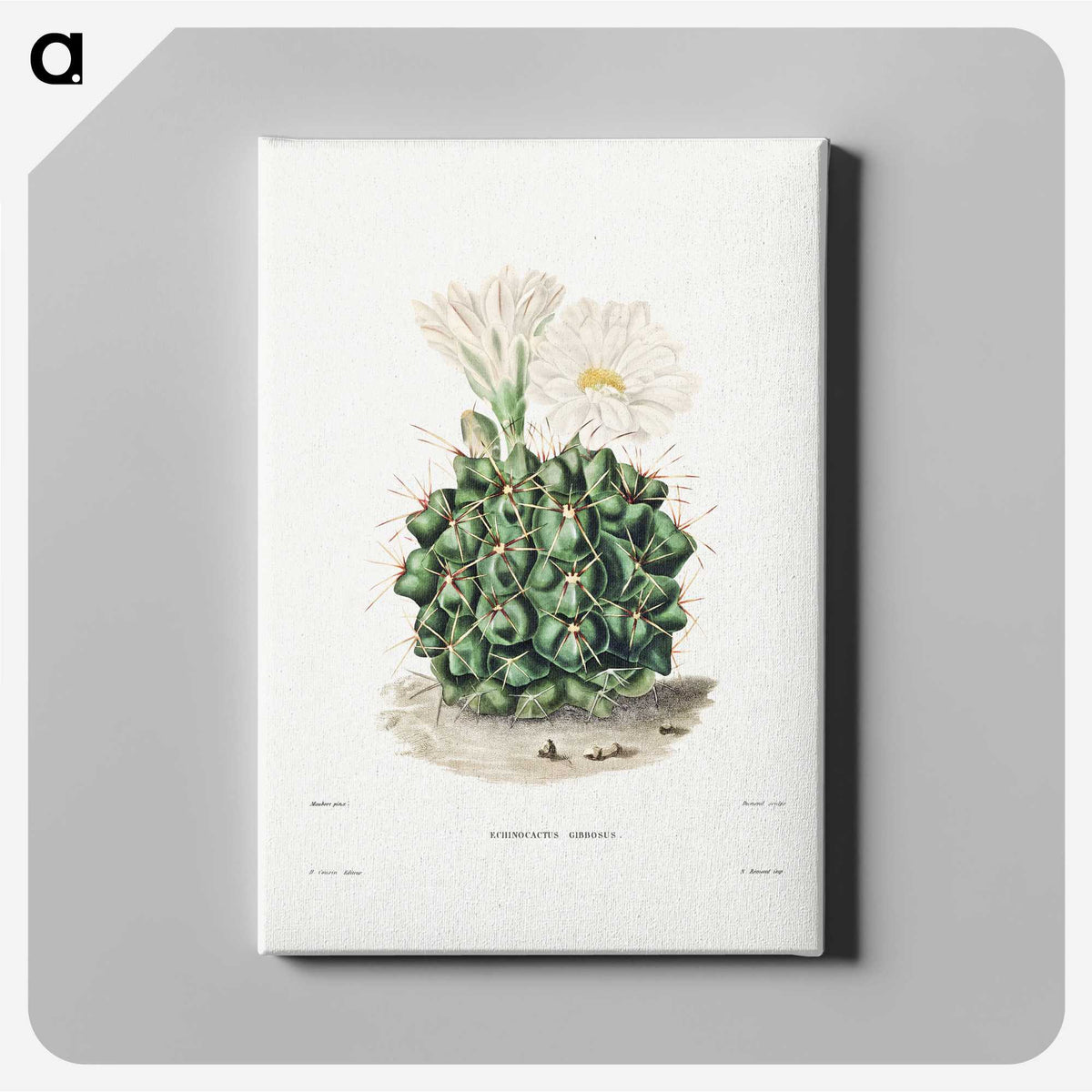 1-4_Charles-Antoine-Lemaire_canvas
