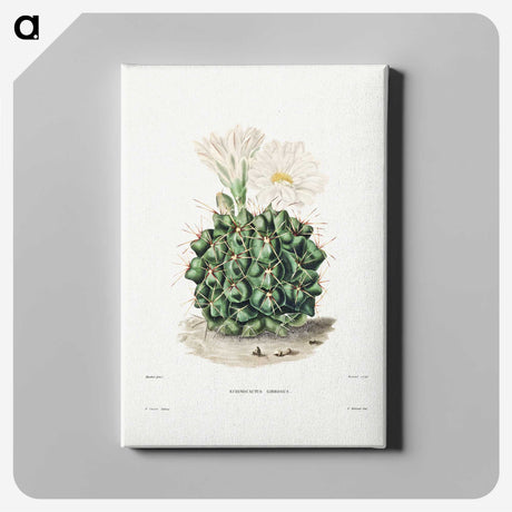 1-4_Charles-Antoine-Lemaire_canvas