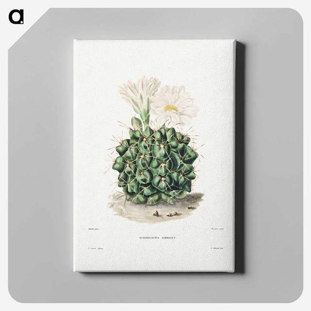 1-4_Charles-Antoine-Lemaire_canvas